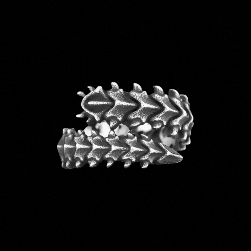 Spinebreaker Ring